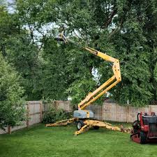 Leaf Removal in Guymon, OK